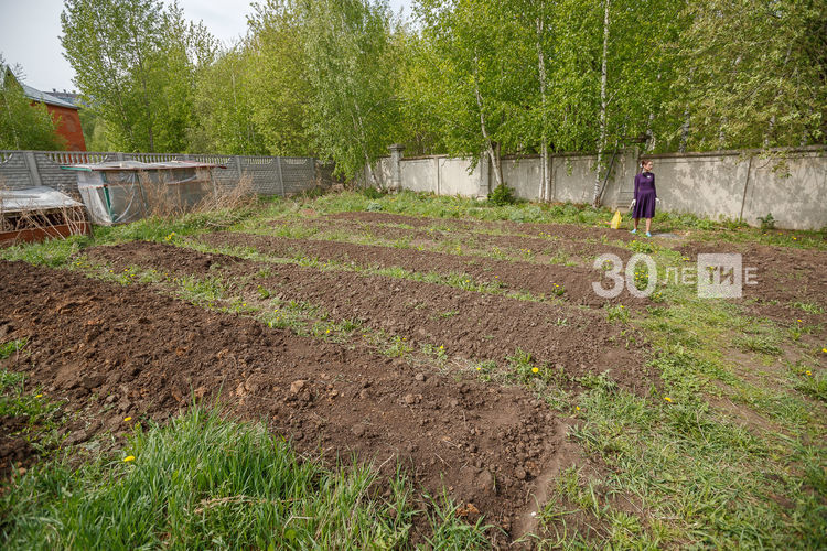 Колыбель